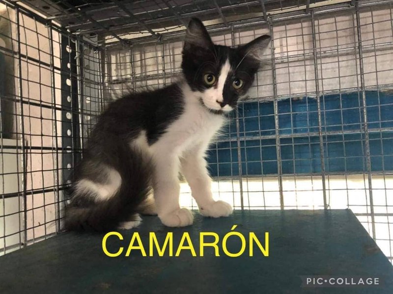 Thumbnail of p-csheohynujx-d76f18344d0b40bf 2