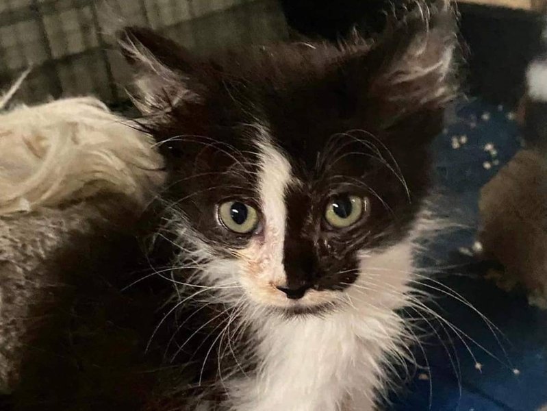 Thumbnail of p-csheohynujx-d76f18344d0b40bf 3