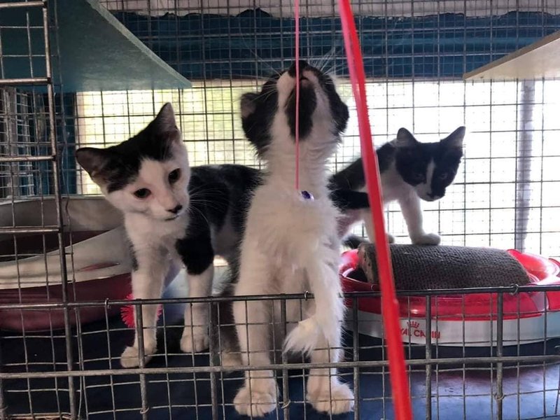 Thumbnail of p-csheohynujx-d76f18344d0b40bf 4