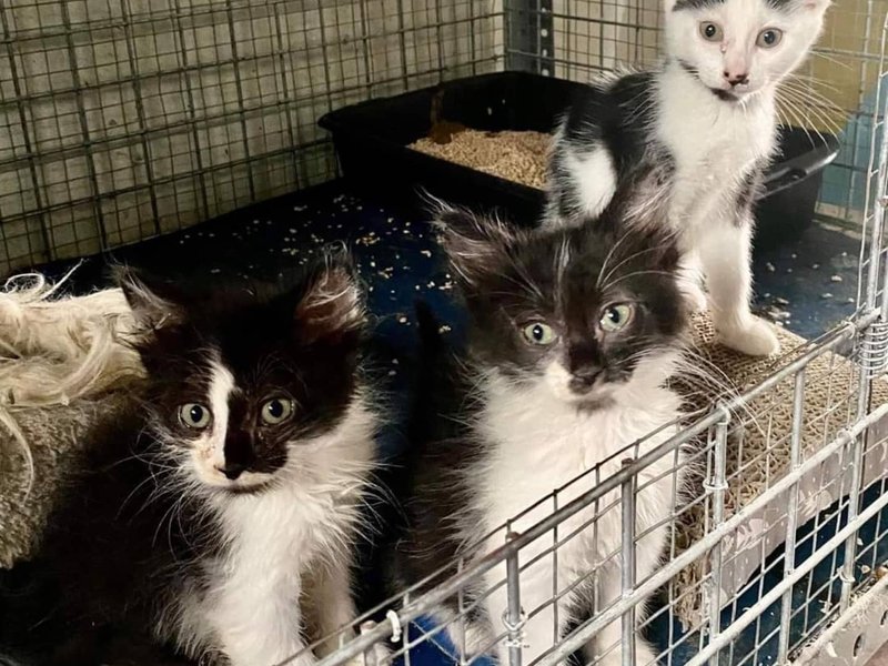 Thumbnail of p-csheohynujx-d76f18344d0b40bf 5