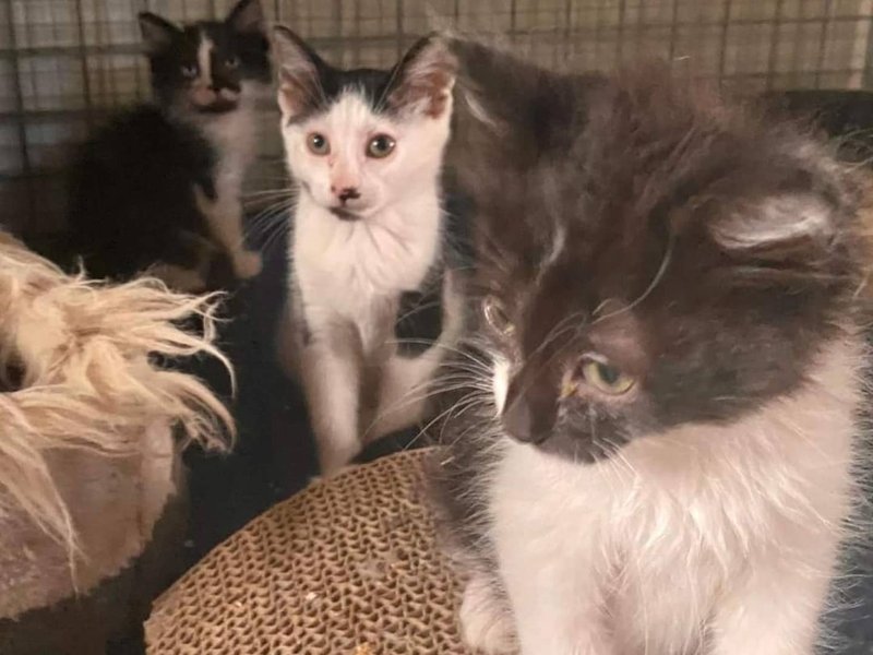 Thumbnail of p-csheohynujx-d76f18344d0b40bf 6