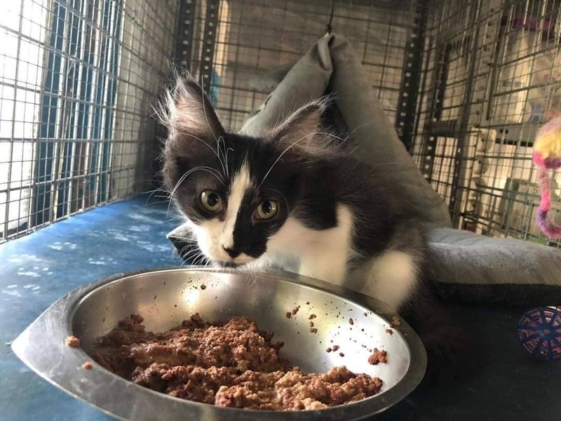 Thumbnail of p-csheohynujx-d76f18344d0b40bf 7