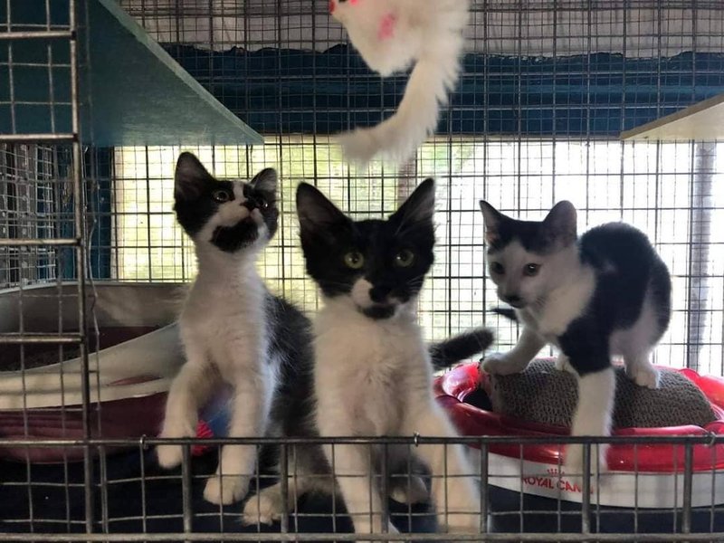 Thumbnail of p-csheohynujx-d76f18344d0b40bf 8