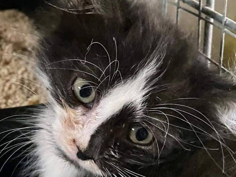 Thumbnail of p-csheohynujx-d76f18344d0b40bf 9