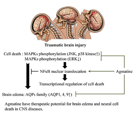 Thumbnail of www-x-com-helios-movement-status-1886436829861409139-d7767691496f4354