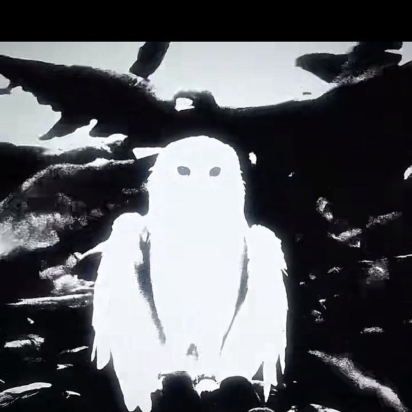 Thumbnail of p-dlmhixiypwv-d7976a0a975d4354 12