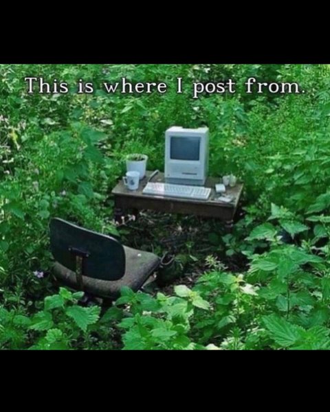 Thumbnail of crl9wk4s-jl-d81eb19d668144fc 9