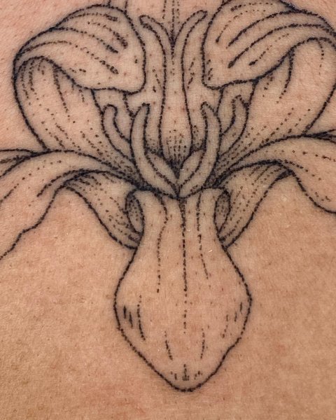 Thumbnail of p-clbgslspcob-d83f7fb07bab433a 1