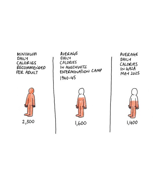 Thumbnail of www-instagram-com-p-dmdsisju8gj 0