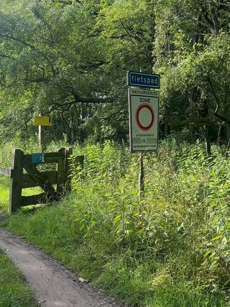 Thumbnail of dmfxyu-i4f8-d855910affdb4894 18