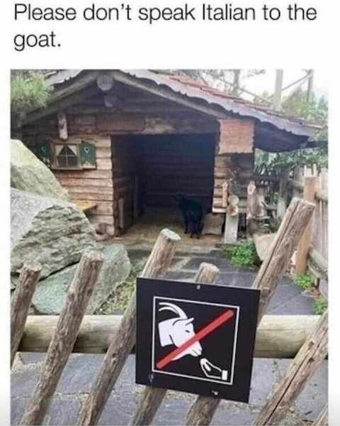 Thumbnail of p-cvyblbyva48-d870480d7a5a47ff 0