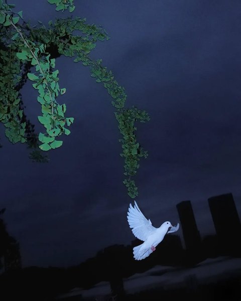 Thumbnail of cvfpuyul1-n-d895ffa9c6374ba9 1