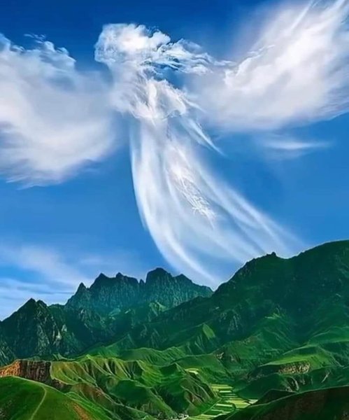 Thumbnail of chqa-iloq5z-d8a12353a8b44877 5