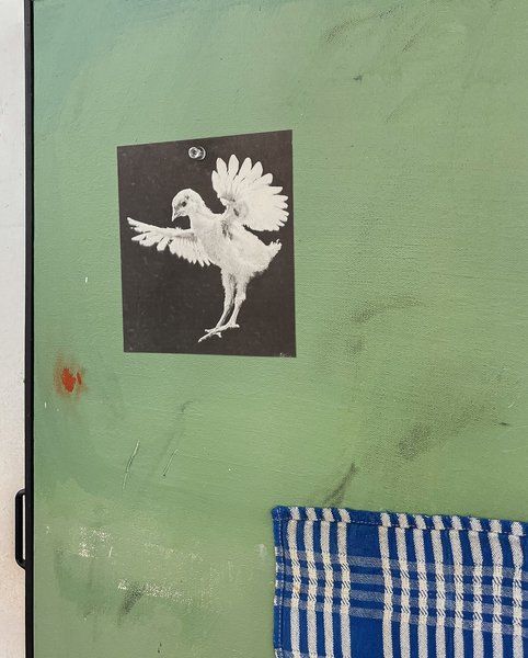 Thumbnail of dby-suzjmmd-d8a2dc1f85e742e7 7