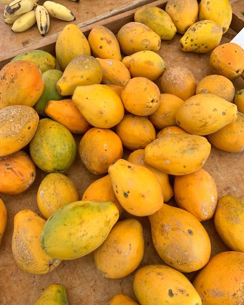 Thumbnail of p-cfrqqx8plrn-d8acf7e847294fde 3