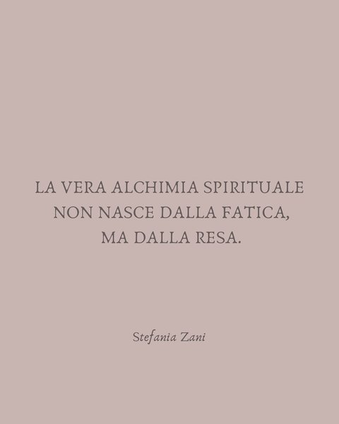 Thumbnail of p-dmagccstwv7-d8c3bdc5fed341a8 8