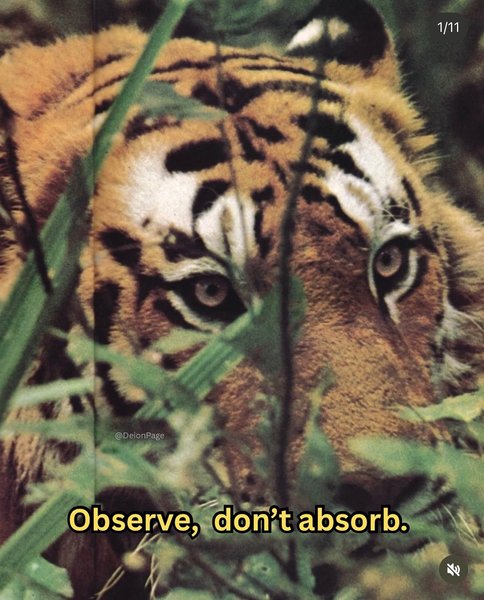 Thumbnail of p-dor1hvmjqta-d8c6de8826864141 0