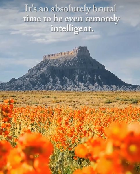 Thumbnail of p-dor1hvmjqta-d8c6de8826864141 6