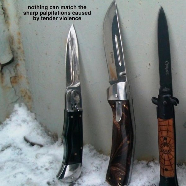 Thumbnail of p-c3edpz2vmge-d8c8e706607049d0 6