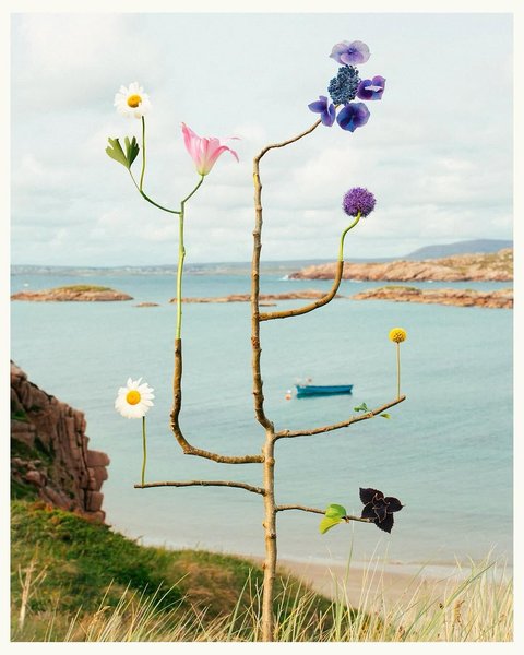 Thumbnail of p-dmvcxz2odzt-d908738ecf604a1a 0