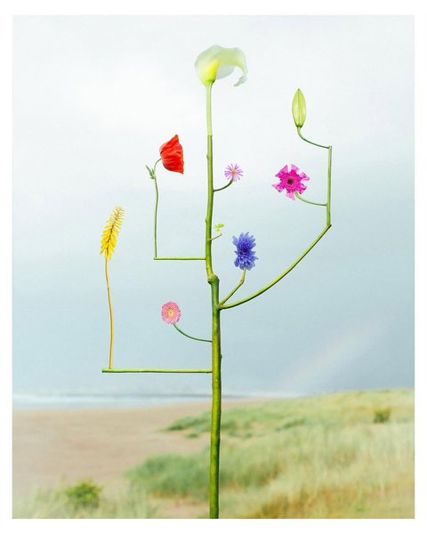 Thumbnail of p-dmvcxz2odzt-d908738ecf604a1a 1