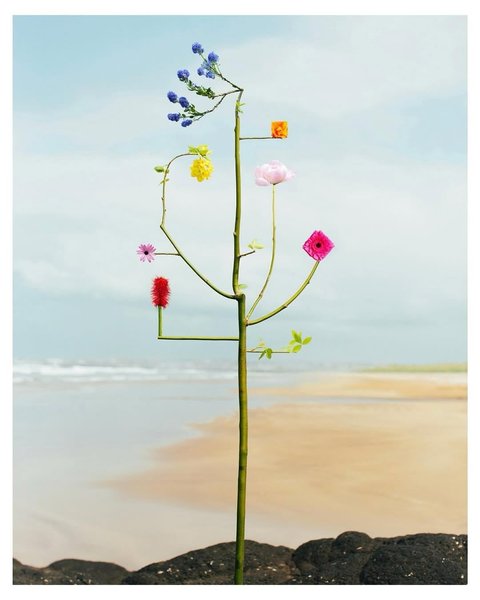 Thumbnail of p-dmvcxz2odzt-d908738ecf604a1a 2