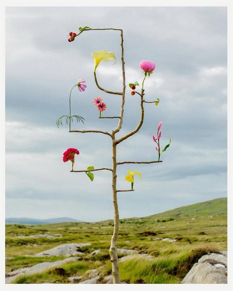 Thumbnail of p-dmvcxz2odzt-d908738ecf604a1a 3