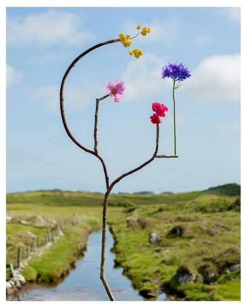 Thumbnail of p-dmvcxz2odzt-d908738ecf604a1a 4