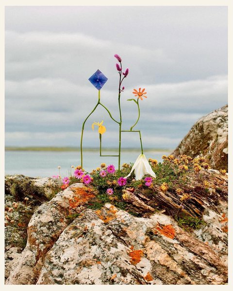 Thumbnail of p-dmvcxz2odzt-d908738ecf604a1a 5