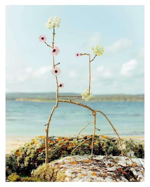 Thumbnail of p-dmvcxz2odzt-d908738ecf604a1a 6