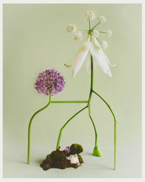 Thumbnail of p-dmvcxz2odzt-d908738ecf604a1a 7