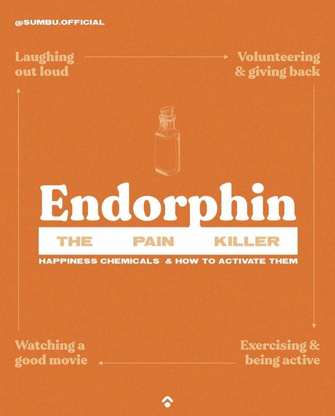 Thumbnail of p-cepzxyjaj3e-d91b1cf075e74f68 3