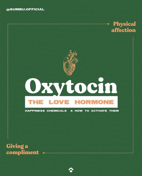 Thumbnail of p-cepzxyjaj3e-d91b1cf075e74f68 4