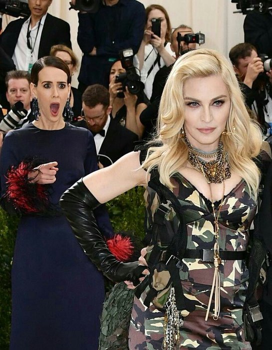 Thumbnail of www-x-com-sarahpaulsbean-status-1056524963925057536-d92c8d9b19264f1a