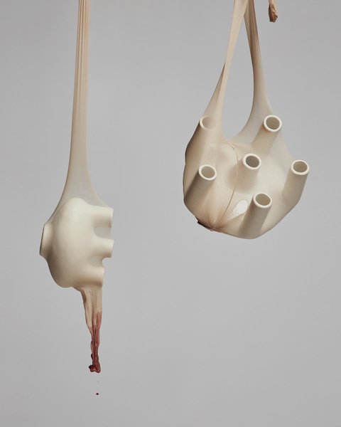 Thumbnail of p-b41aj9sgkqf-d9801a22a7cc4149 0