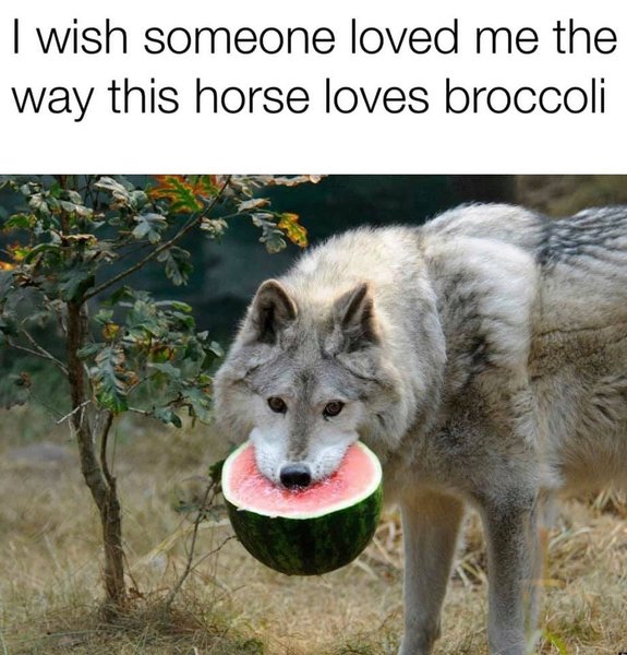 Thumbnail of b1pebtqg8-j-d9882270c44b4c01 0