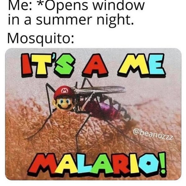 Thumbnail of p-b6dr1rof9t6-d988809b0d71484e 0