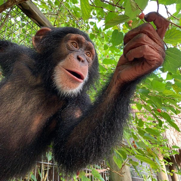 Thumbnail of b-scx8dd7z7-d9a0f6beaf5945fb 0