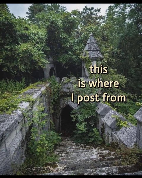 Thumbnail of p-c3yscxos4ju-d9ad66fe434a4862 9