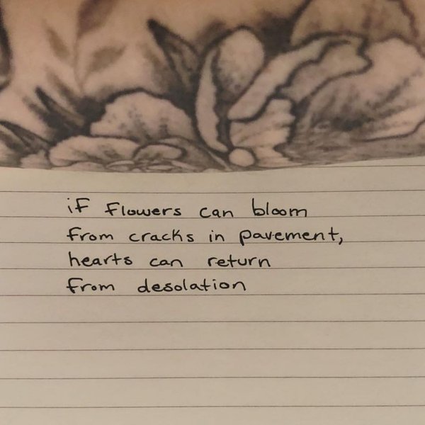 Thumbnail of p-byfv7b3flrv-d9d70092252e4972 0