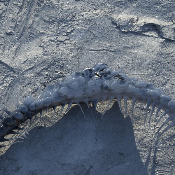 Thumbnail of p-culiy5lmzp7-d9df65175eb94704 1