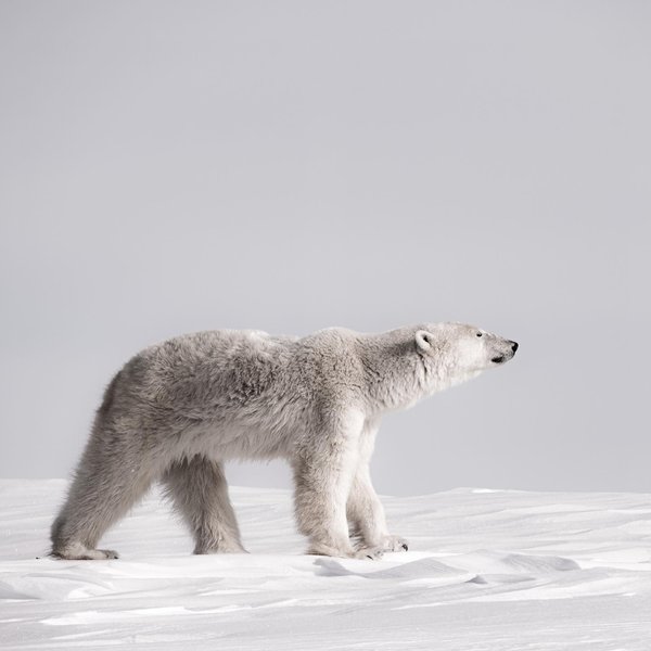 Thumbnail of p-cnnwgp8afwu-d9ea5a1723c44674 0