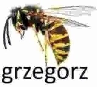 Thumbnail of chaygx-fzse-da19f7f0e2f14c8f 4