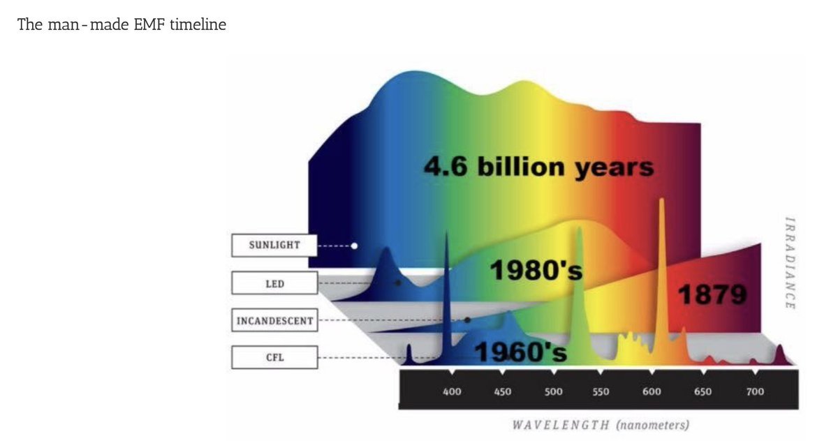 Thumbnail of www-x-com-drjackkruse-status-1822347760571412804-da9213979dfa4041