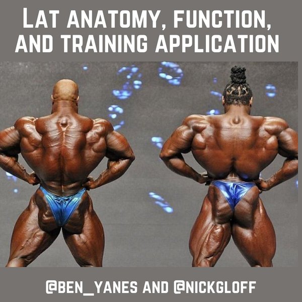 Thumbnail of p-ch7xl16arwo-da9a8cd2e51e435c 0