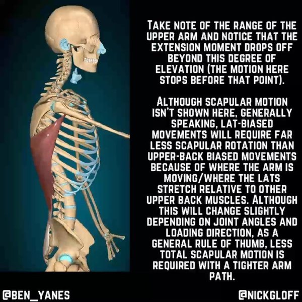 Thumbnail of p-ch7xl16arwo-da9a8cd2e51e435c 4