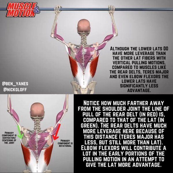 Thumbnail of p-ch7xl16arwo-da9a8cd2e51e435c 5