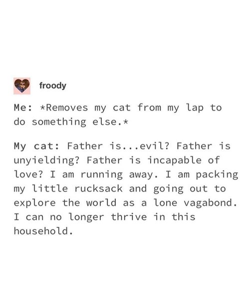 Thumbnail of b-c6xxbpngt-dac0ccf25fd84d05 0