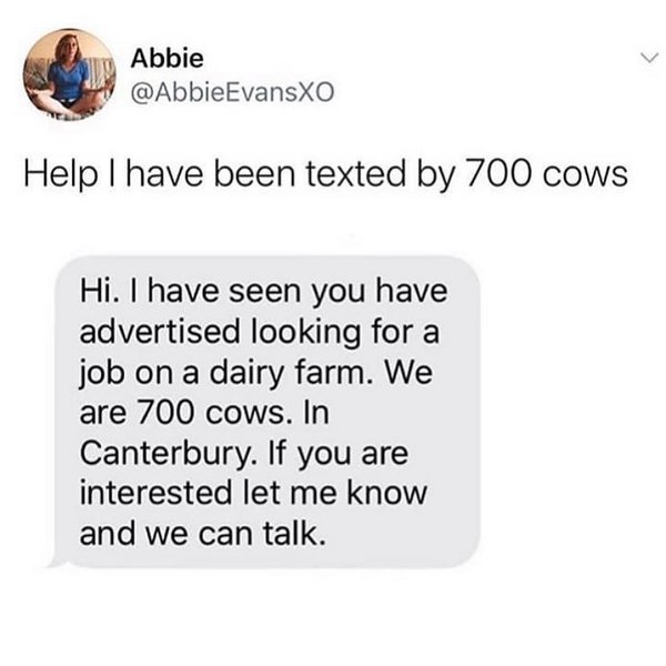 Thumbnail of p-cj6fi9dhibg-dacdcdf877bb425b 0