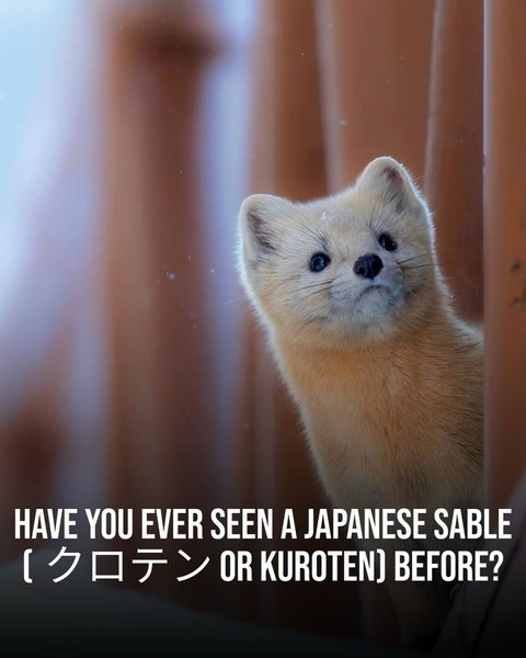 Thumbnail of tuu4tc-hq-dae2756930964804 0